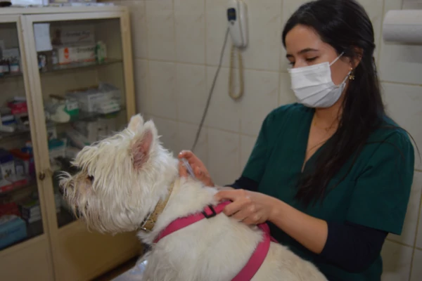 Imagen de Vacunación Veterinaria